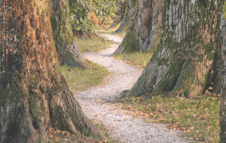 How Meditation Cultivates Mindful Awareness