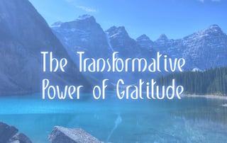 The Power of Gratitude and Meditation