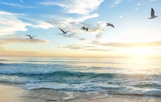 How Meditation Empowers Intention Setting