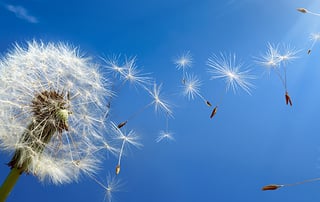 Alleviating Stress and Anxiety through Meditation