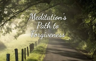 Meditation's Path to Forgiveness