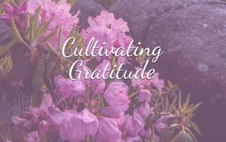 Cultivating Connections with Gratitude Meditation