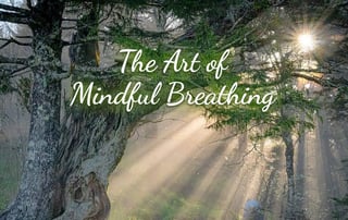 The Art of Mindful Breathing