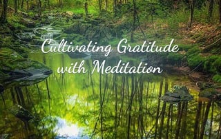 3 Essential Tips for Cultivating Gratitude with Meditation