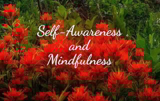 Self-Awareness and Mindfulness: A Meditation Guide