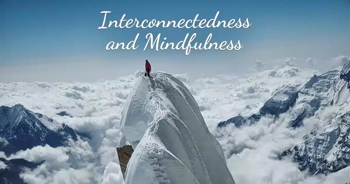 The Connection Between Interconnectedness and Mindfulness