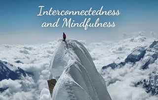 The Connection Between Interconnectedness and Mindfulness