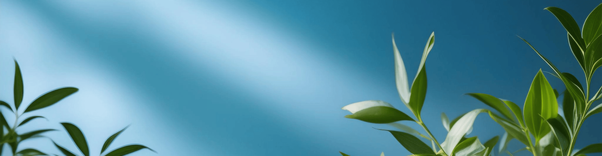 Rejuvenate Hydrating Toner Rejuvenate Hydrating Toner