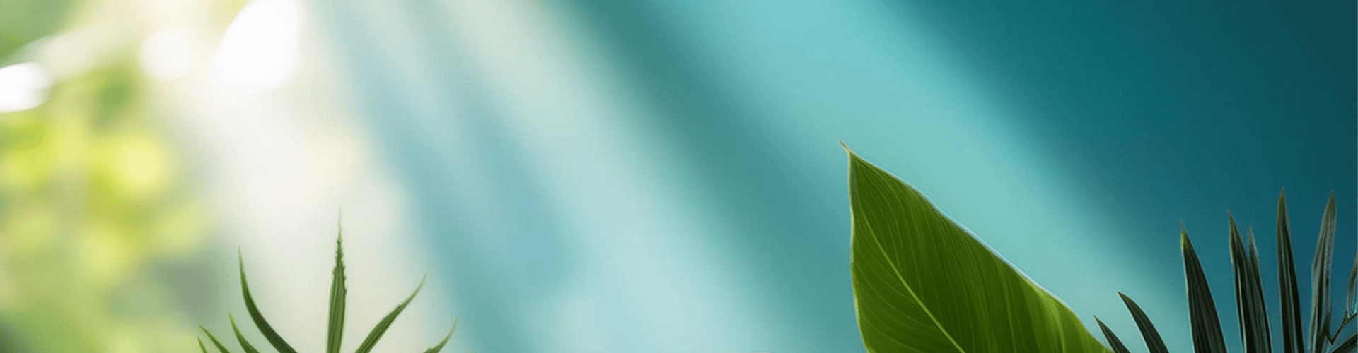 Rejuvenate Exfoliating Serum Retinol & Lactic Acid Rejuvenate Exfoliating Serum Retinol & Lactic Acid