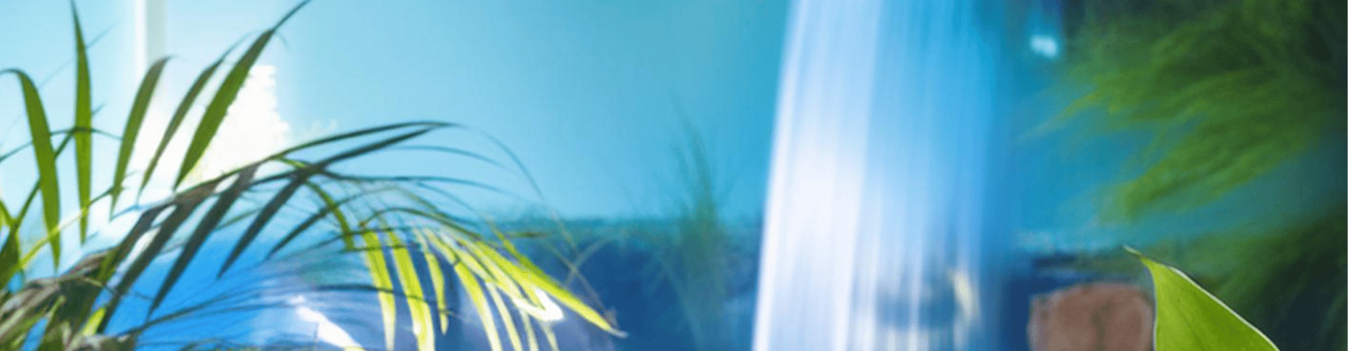 Rejuvenate Neck Crème for Neck & Décolletage Rejuvenate Neck Crème for Neck & Décolletage