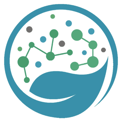 The Rejuvenate Skincare Collection 6 Comprehensive Synergistic Systems