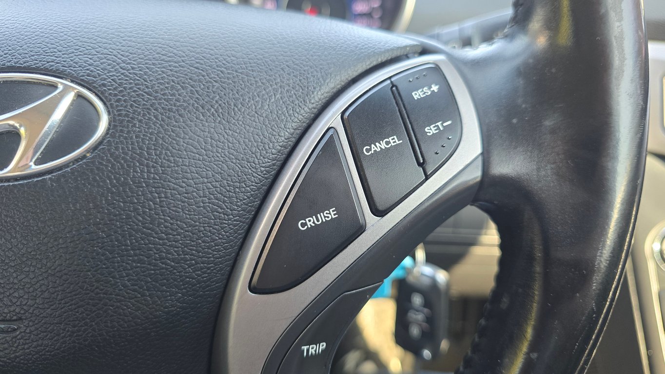 2014 Hyundai Elantra 1.8 Executive Auto photo 13