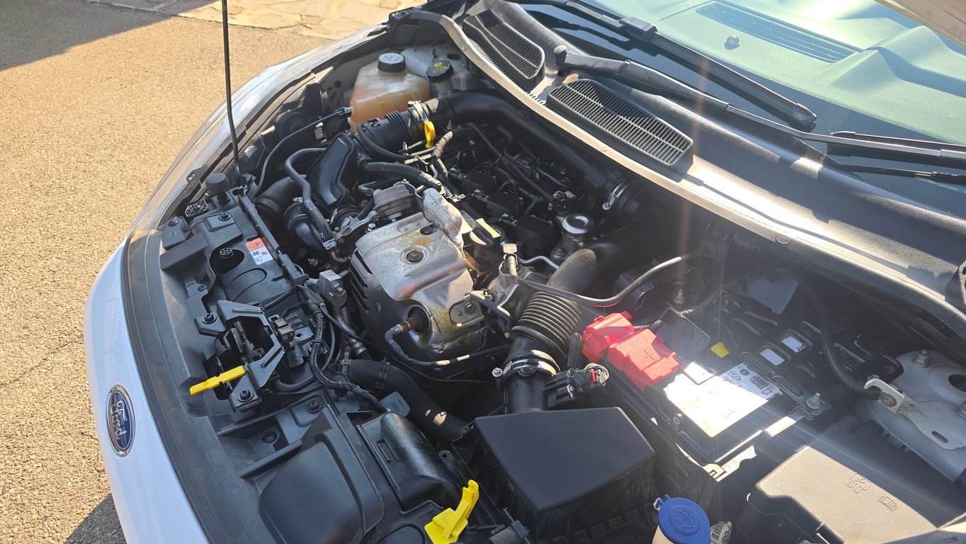 2014 Ford Fiesta 1.0 EcoBoost Trend photo 15