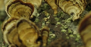 Newark Parking Information