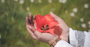 Chicago Wentworth Gardens Parking