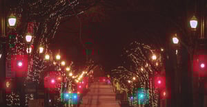 Portland Parking Information