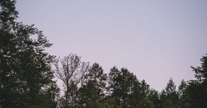 Chicago Little Village Parking