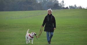 Chicago Vittum Park Parking