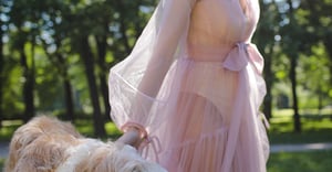 Chicago Lincoln Park Parking