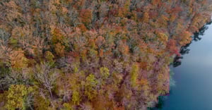 Maryland Parking Information