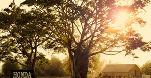 Chicago Ukrainian Village Parking