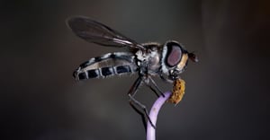 New Haven Parking Information