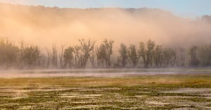 Wisconsin Parking Information
