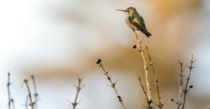 Washington Parking Information