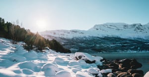 Chicago Irving Woods Parking