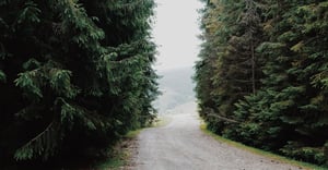 Chicago Budlong Woods Parking
