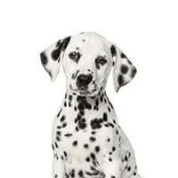 2017 11 13 1635 demonstrating ParqEx's smart parking technology in action.