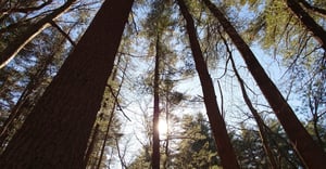 Nashua Parking Information