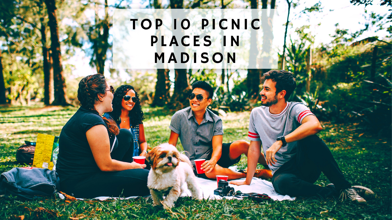 Top 10 Places To Have A Picnic In Madison demonstrating ParqEx's smart parking technology in action.