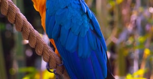 Chicago Uptown Parking