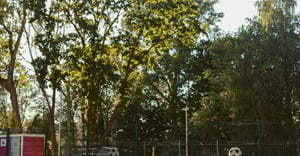 Chicago Avalon Park Parking