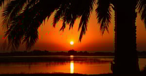 Chicago River West Parking