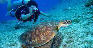 Guam Parking Information