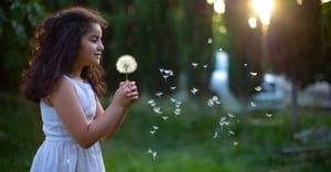 Chicago Jackson Park Highlands Parking