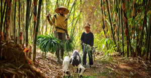 Chicago Graceland West Parking