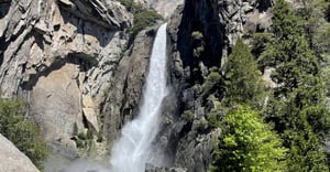 Nevada Parking Information