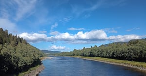 Chicago Cottage Grove Heights Parking