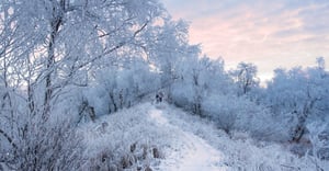 Anchorage Parking Information