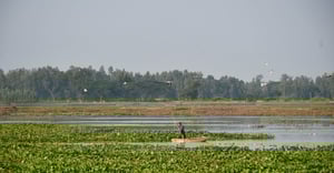 Chicago Lakeview Parking