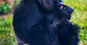 Chicago Noble Square Parking