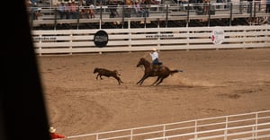 Cheyenne Parking Information