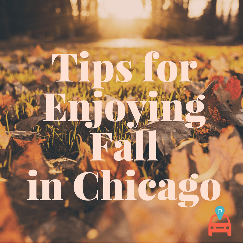 Fall demonstrating ParqEx's smart parking technology in action.