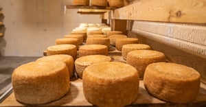 North Carolina Parking Information