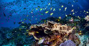 Chicago West Loop Parking