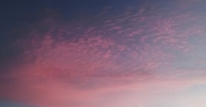 Chicago Prairie Shores Parking