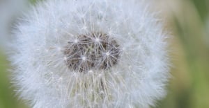 Fairbanks Parking Information